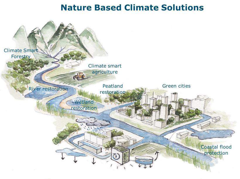 Nature Based Climate Solutions